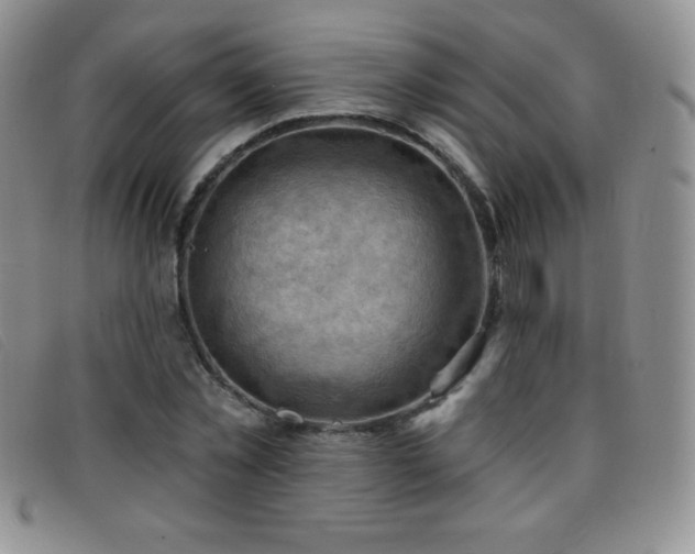 X0000096680781200802051245