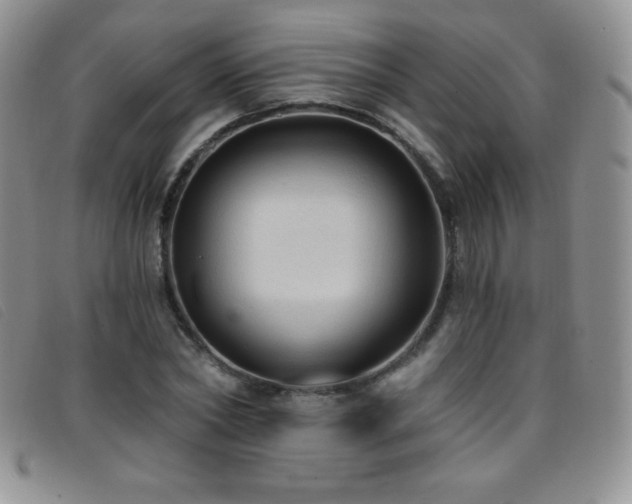 X0000096680782200802051245