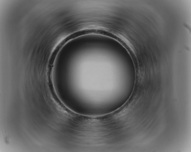 X0000096680783200802051245