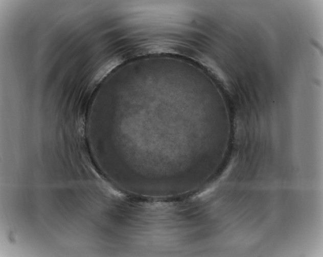 X0000096680785200802051245
