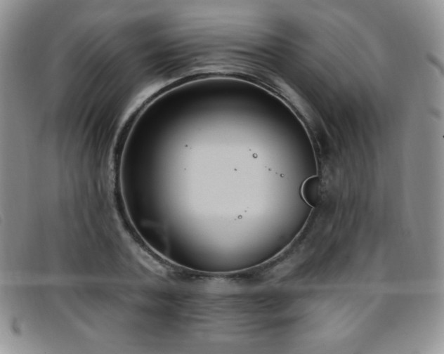 X0000096680787200802051245