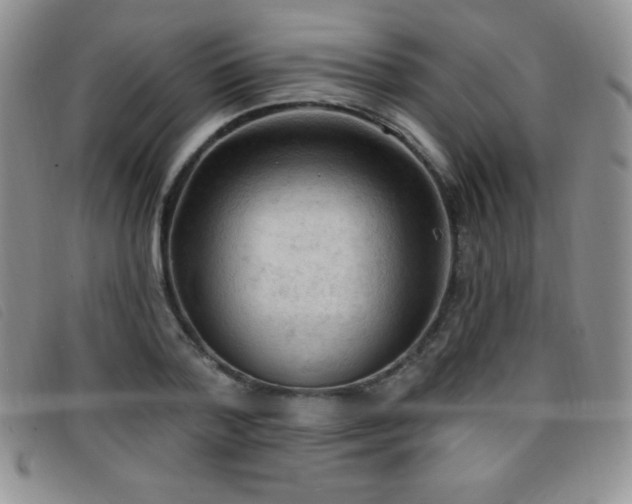 X0000096680788200802051245