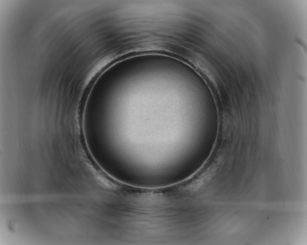 X0000096680789200802051245