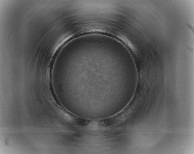 X0000096680790200802051245