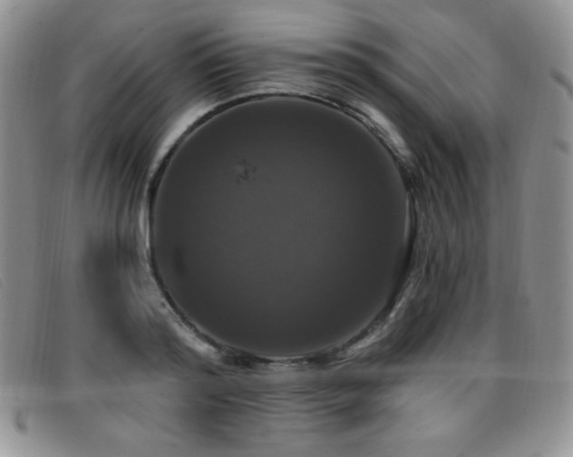 X0000096680796200802051245