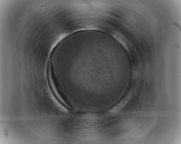 X0000096680797200802051245