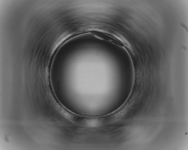 X0000096680798200802051245