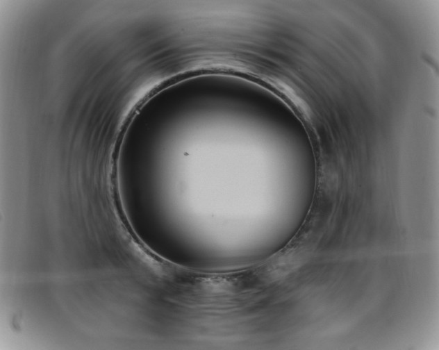 X0000096680799200802051245