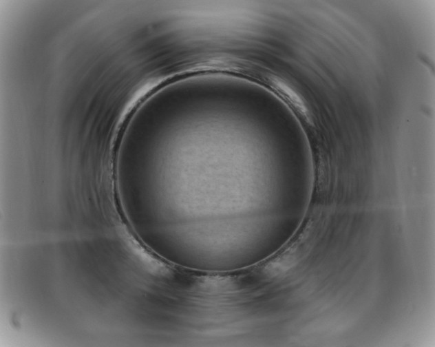 X0000096680800200802051244