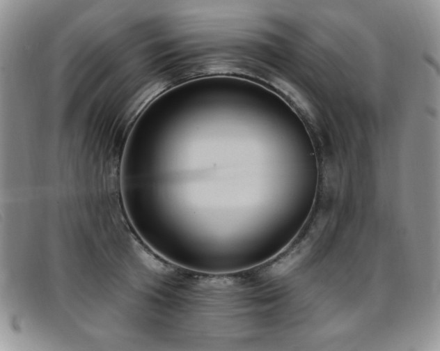 X0000096680801200802051244