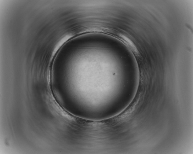 X0000096680804200802051244