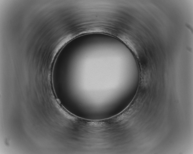 X0000096680805200802051244