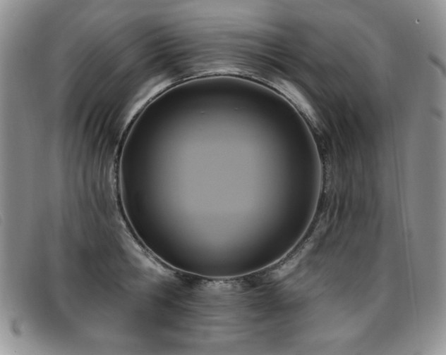 X0000096680806200802051244