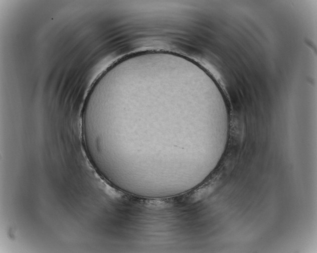 X0000096680807200802051244