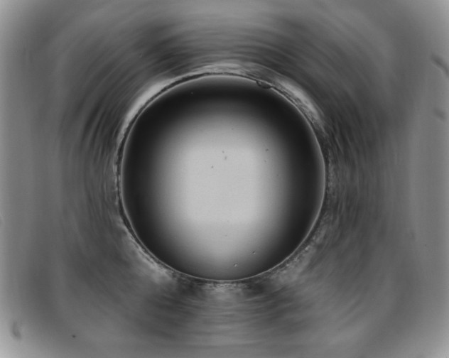 X0000096680808200802051244