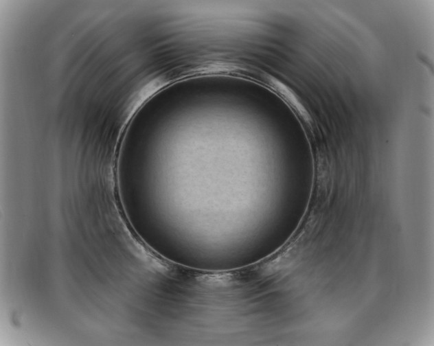 X0000096680810200802051244