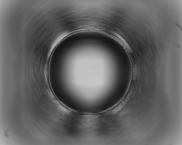 X0000096680812200802051244
