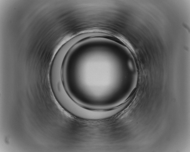 X0000096680813200802051244
