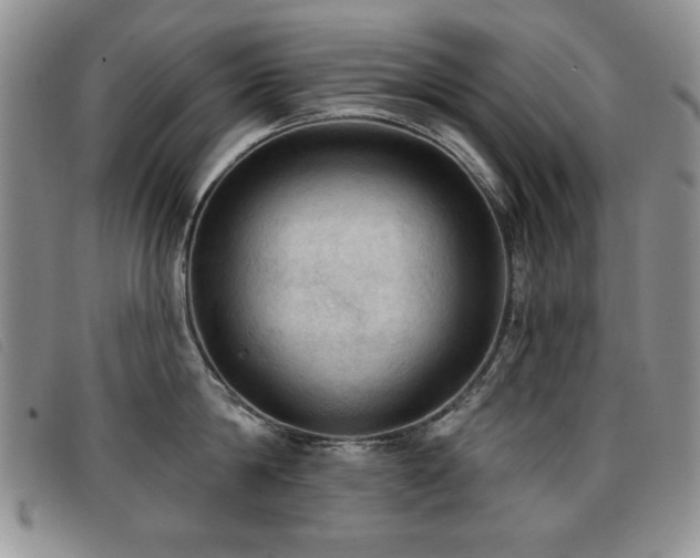 X0000096680814200802051244