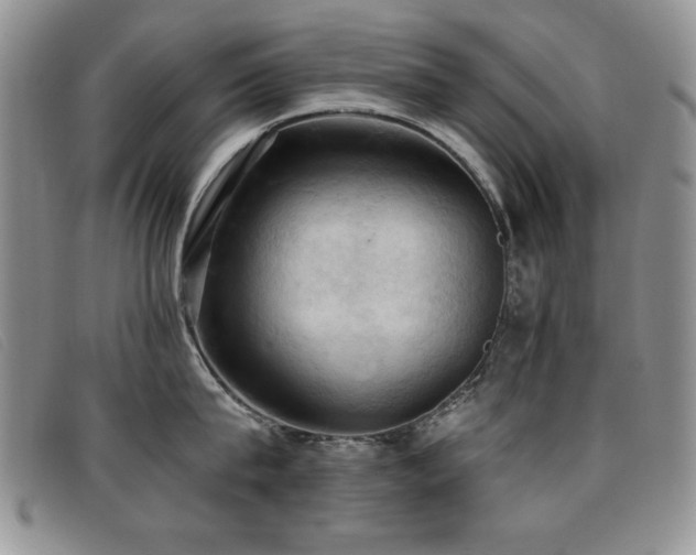 X0000096680815200802051244