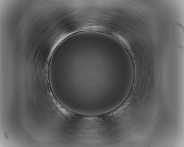 X0000096680816200802051244