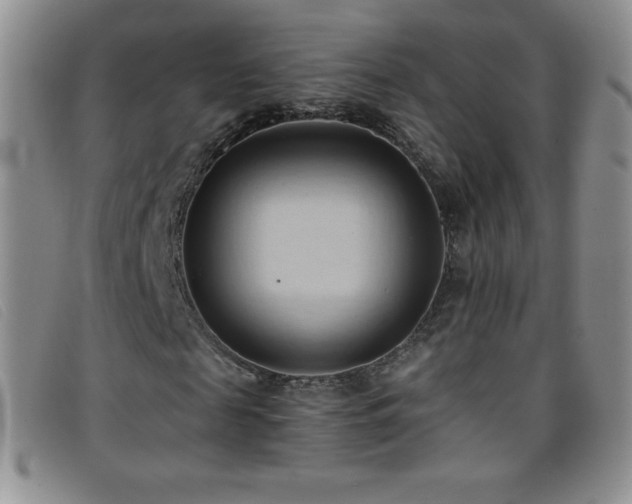 X0000096680817200802051244