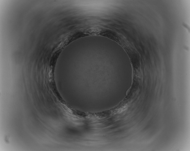 X0000096680818200802051244