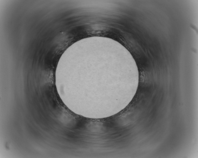 X0000096680820200802051244