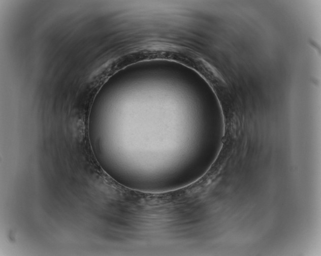 X0000096680821200802051244