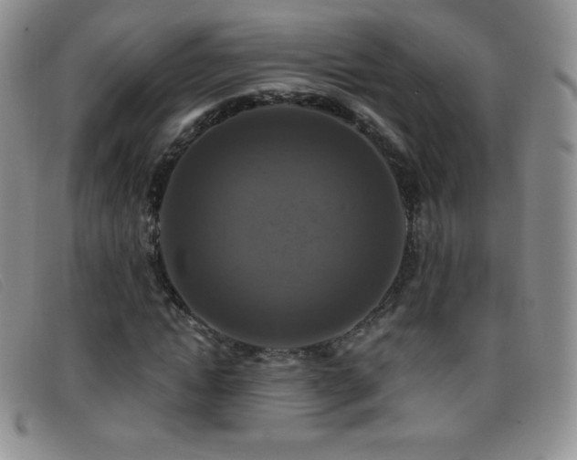 X0000096680822200802051244