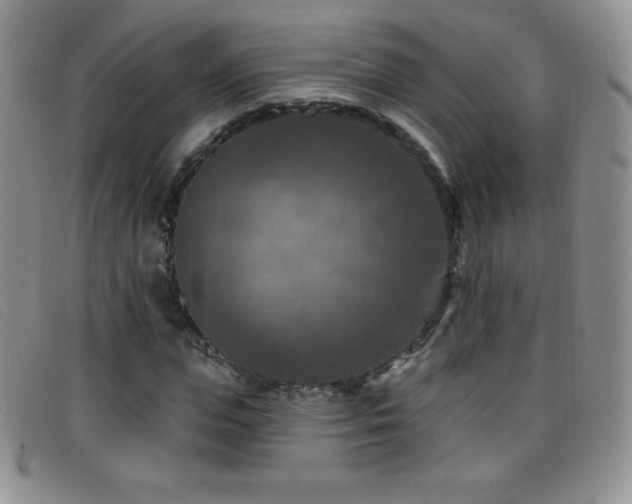 X0000096680823200802051244
