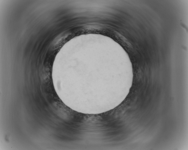 X0000096680824200802051244