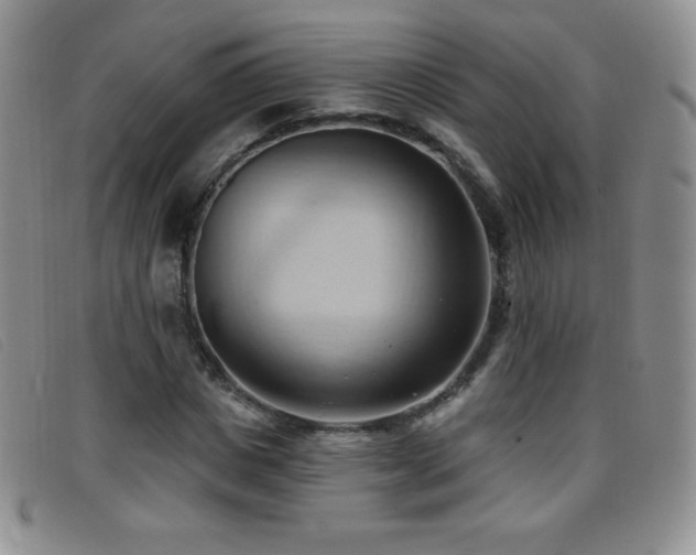 X0000096680825200802051244