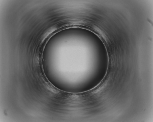 X0000096680827200802051244