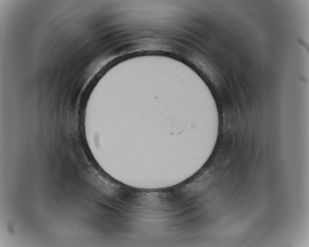X0000096680828200802051244