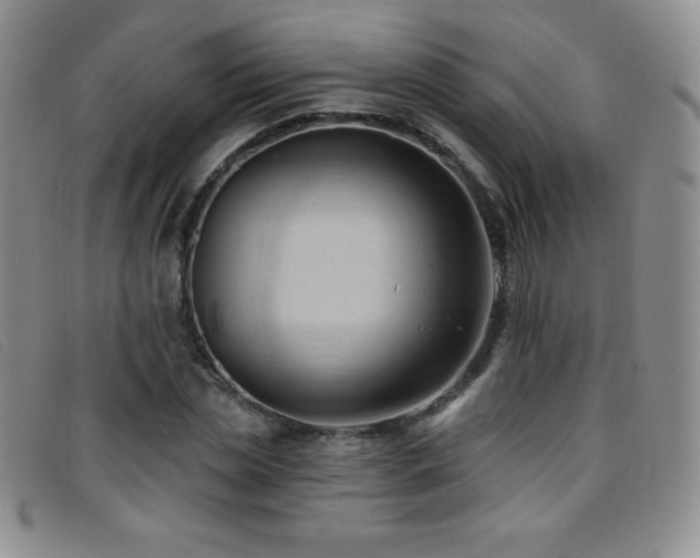 X0000096680829200802051244
