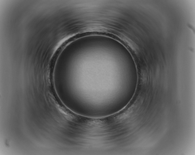 X0000096680830200802051244
