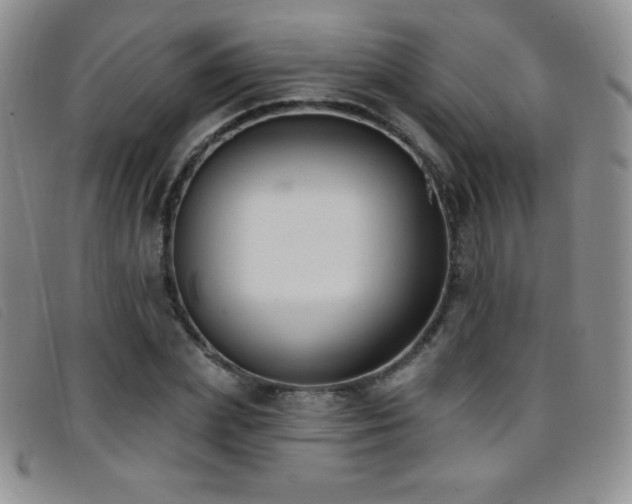 X0000096680831200802051244