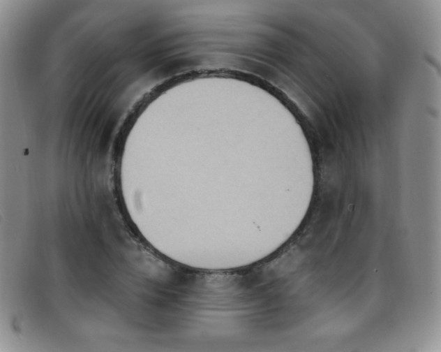 X0000096680832200802051244