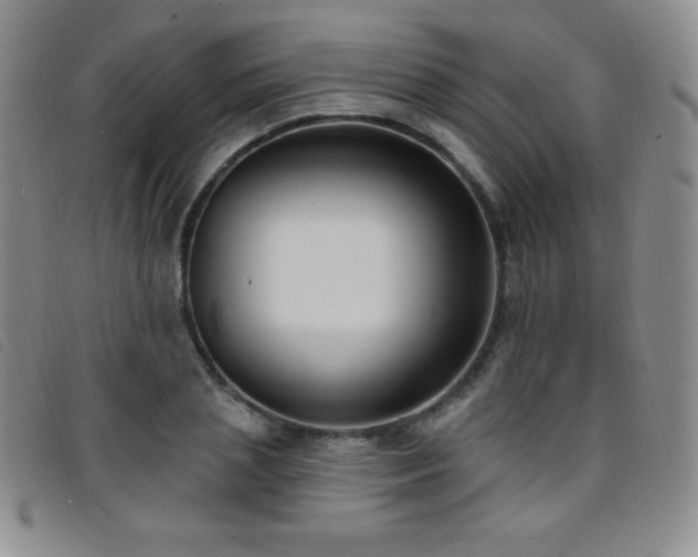 X0000096680837200802051244