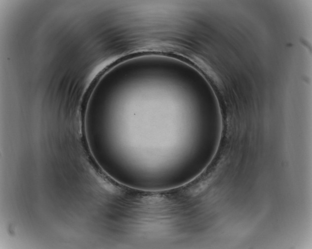 X0000096680838200802051244