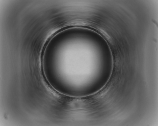 X0000096680840200802051244