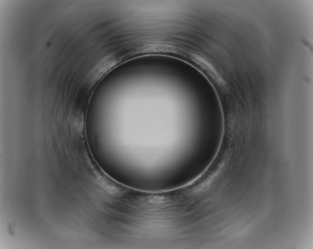 X0000096680841200802051244