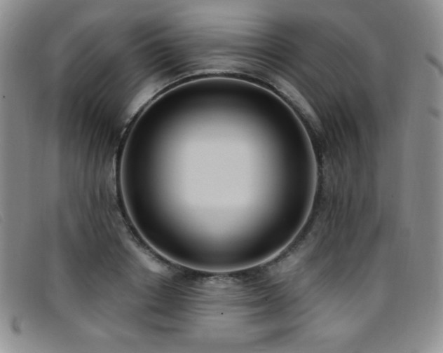 X0000096680842200802051244