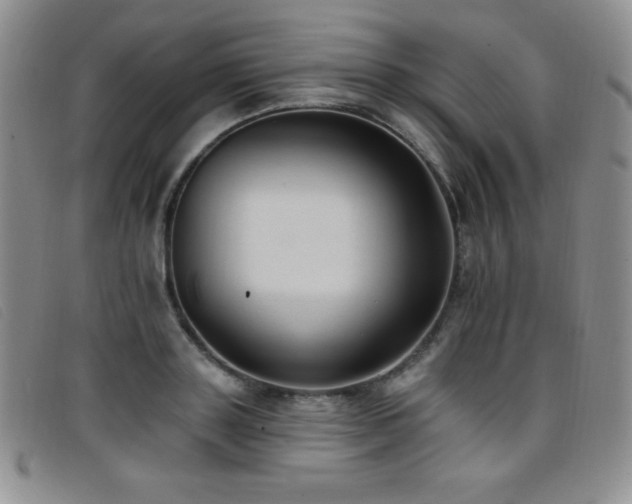 X0000096680843200802051244