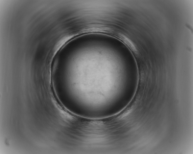 X0000096680844200802051244
