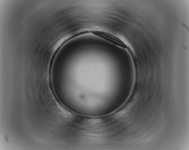 X0000096680845200802051244
