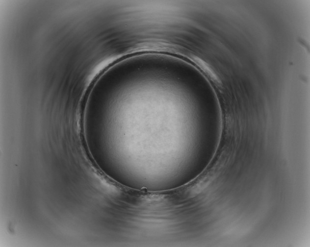 X0000096680846200802051244