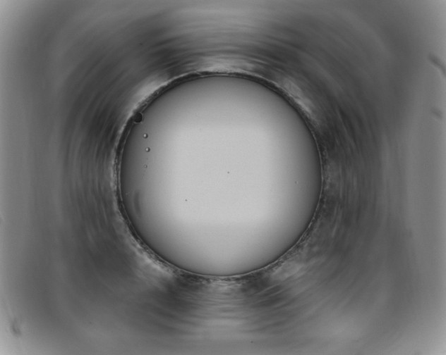 X0000096680848200802051244