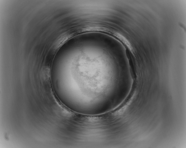X0000096680849200802051244